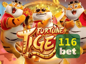 Guia install APK 116BET BR