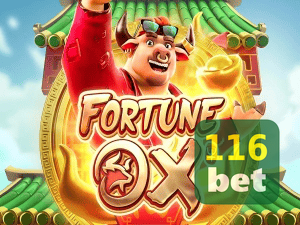116BET login — painel de entrada no app oficial
